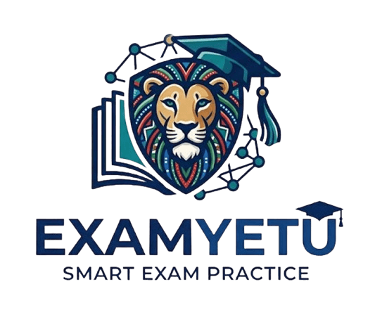 Examyetu logo